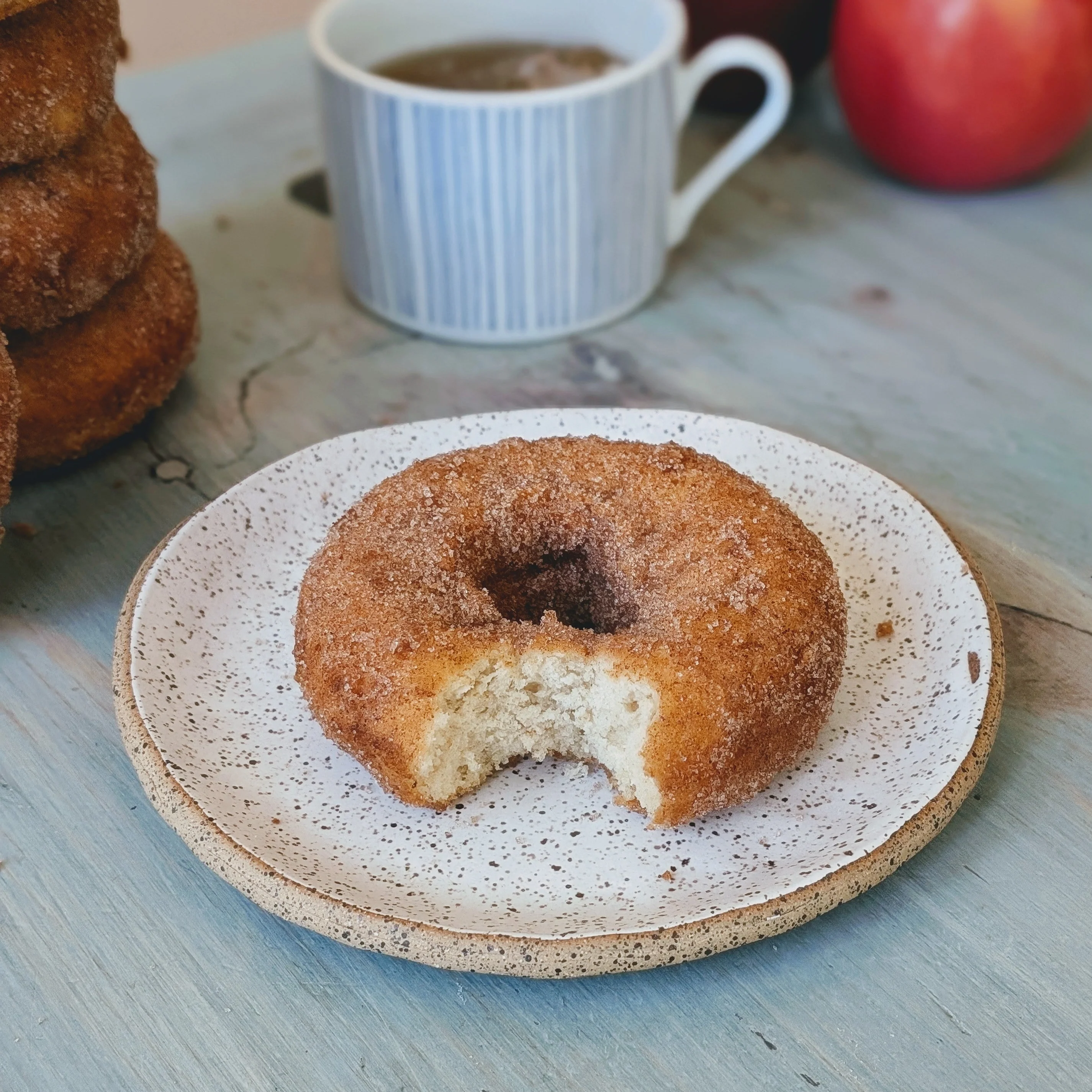 Apple Cider Donuts (6-pack) - Image 2